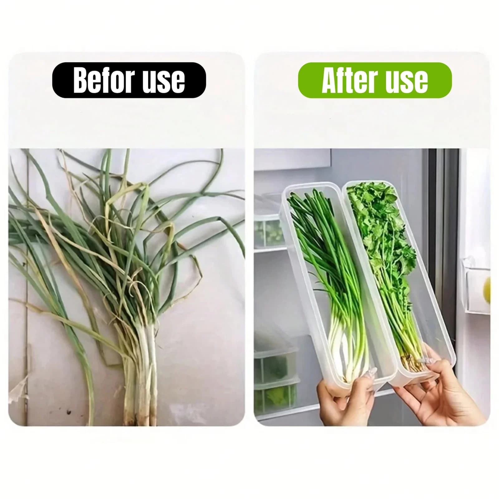 蓋付き冷蔵庫用保存容器 プラスチック製 密閉保存ボックス 薬味・ネギ・パクチー・麺用 1/2/4個セット