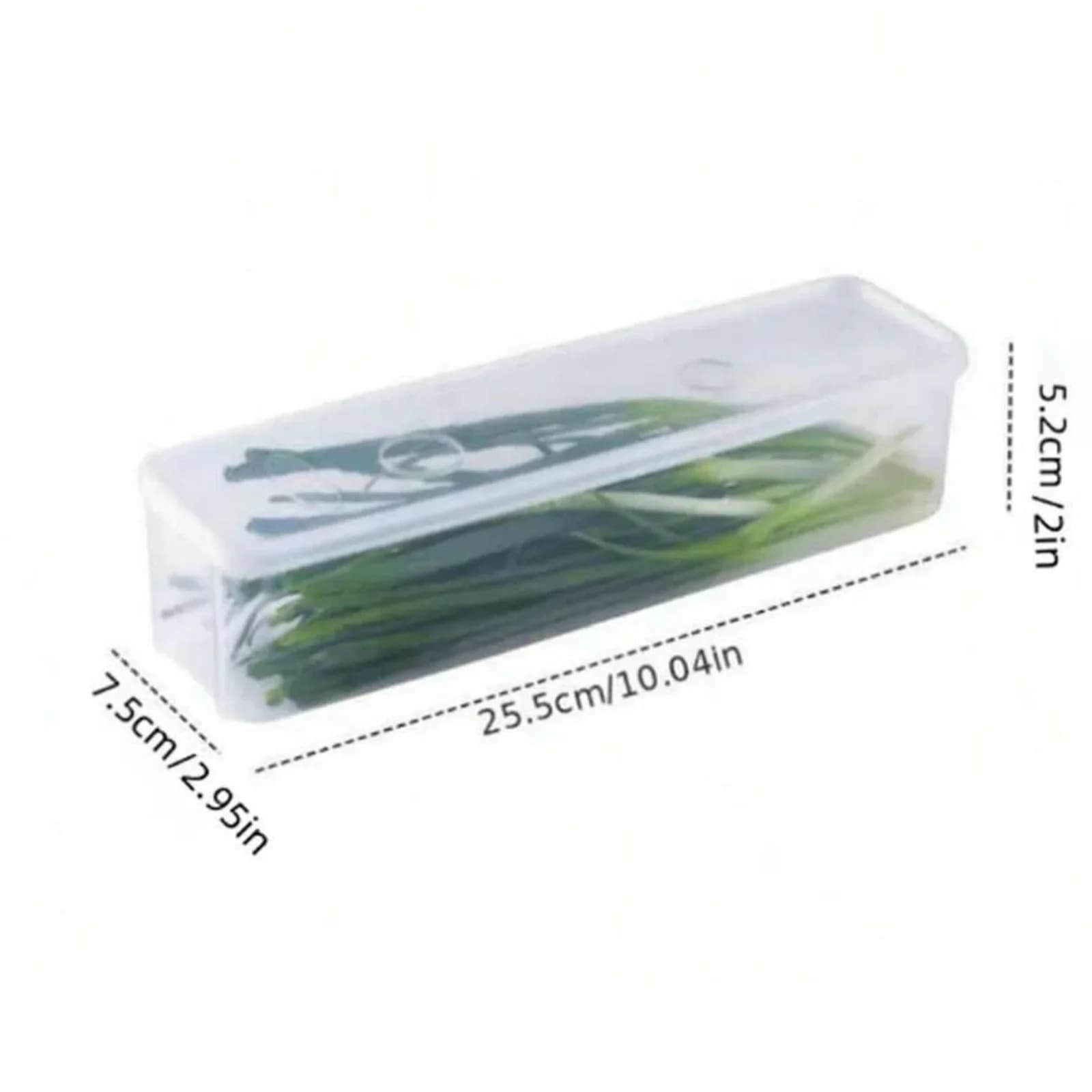 蓋付き冷蔵庫用保存容器 プラスチック製 密閉保存ボックス 薬味・ネギ・パクチー・麺用 1/2/4個セット