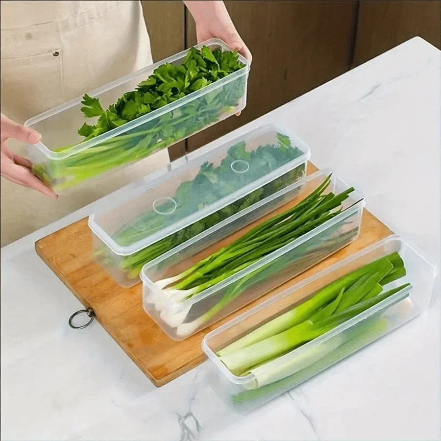 蓋付き冷蔵庫用保存容器 プラスチック製 密閉保存ボックス 薬味・ネギ・パクチー・麺用 1/2/4個セット