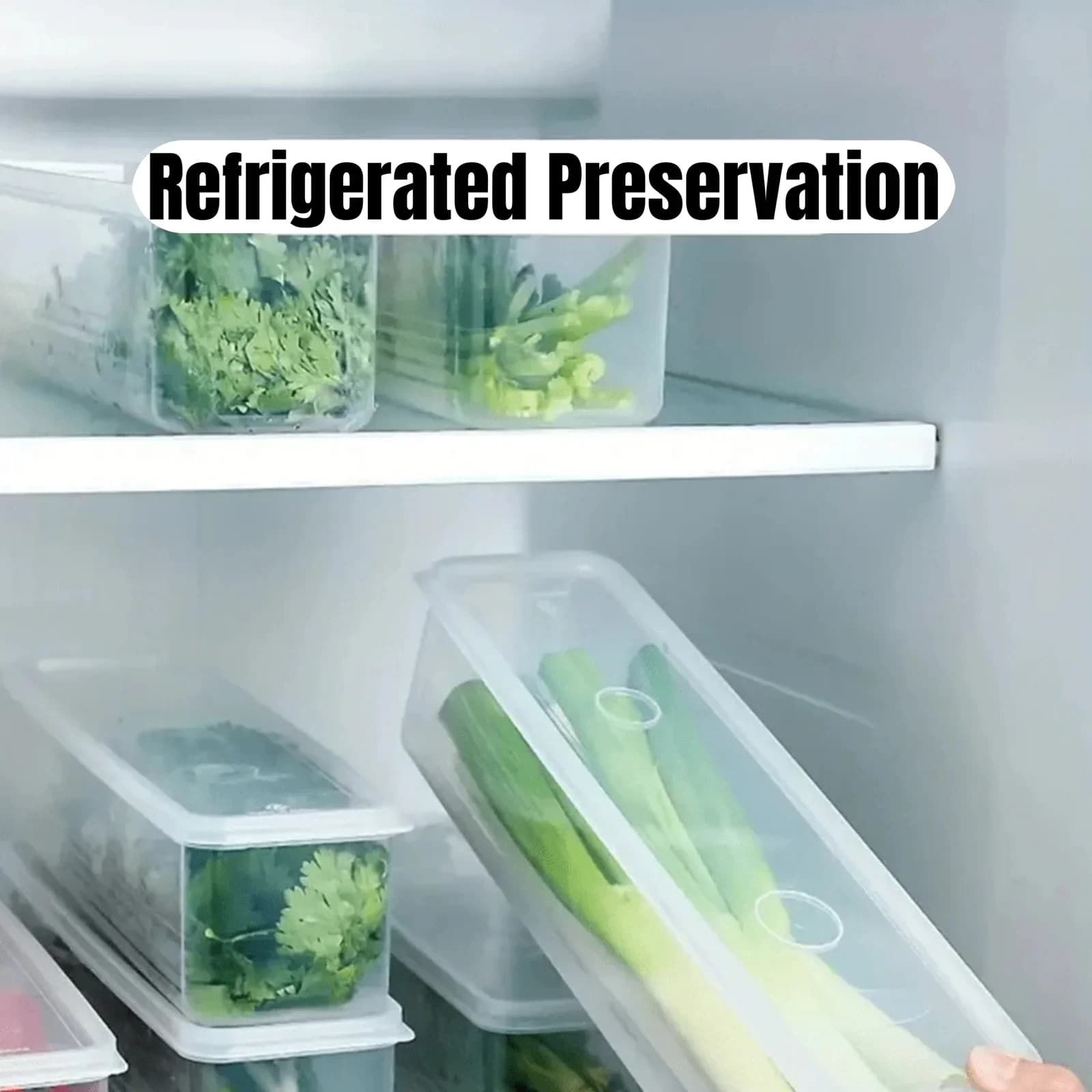 蓋付き冷蔵庫用保存容器 プラスチック製 密閉保存ボックス 薬味・ネギ・パクチー・麺用 1/2/4個セット
